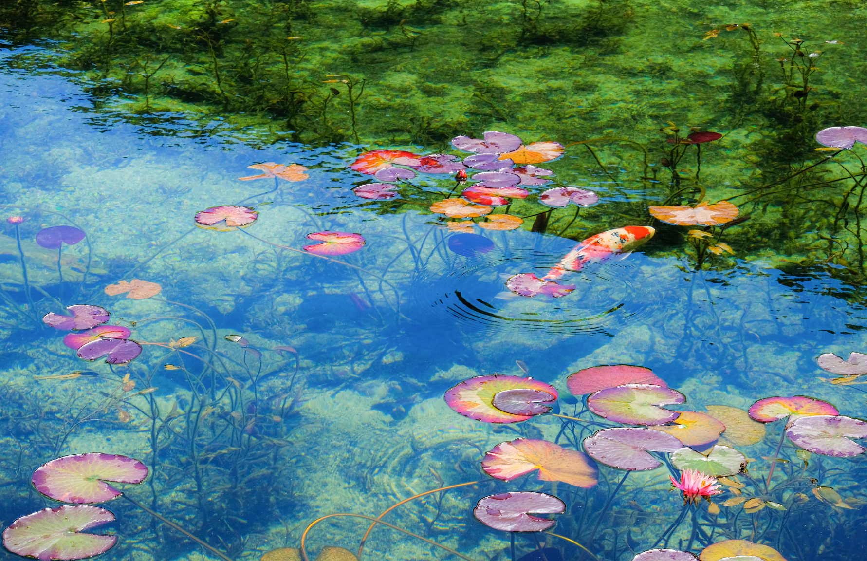 岐阜のホームページ制作を伴走型でサポートするイメージ
