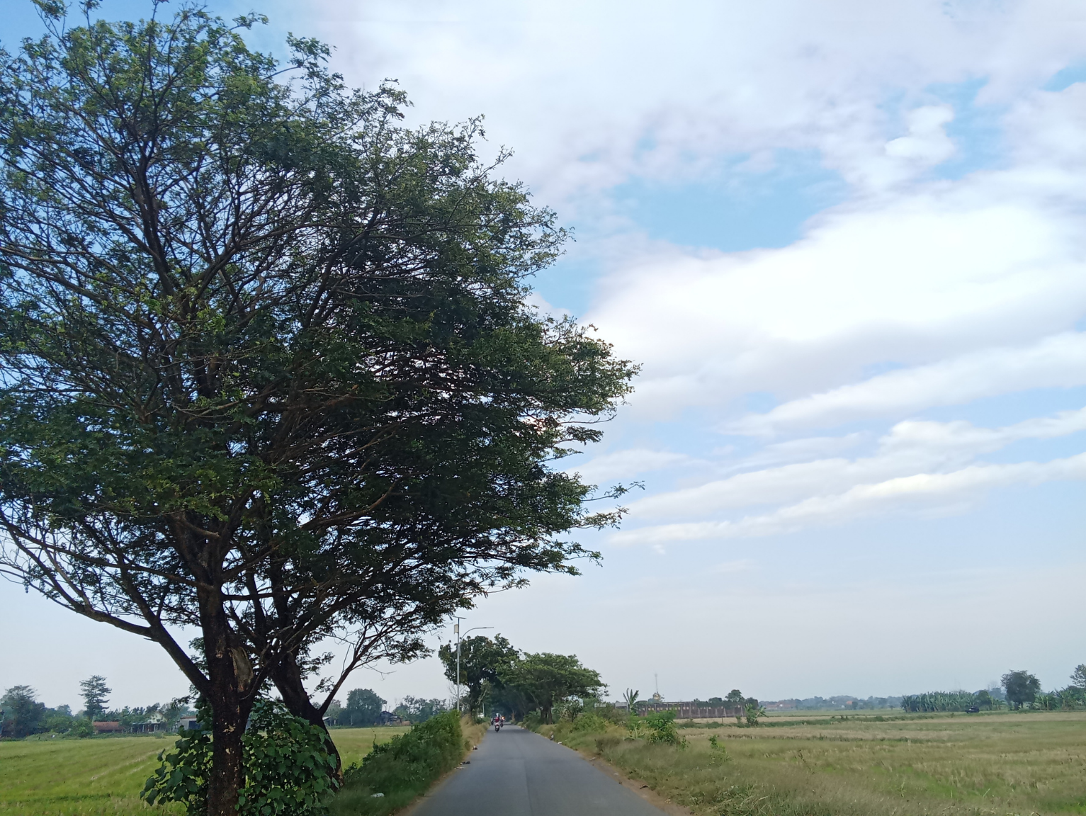 ホームページ制作のための出張撮影（岐阜県内の風景）